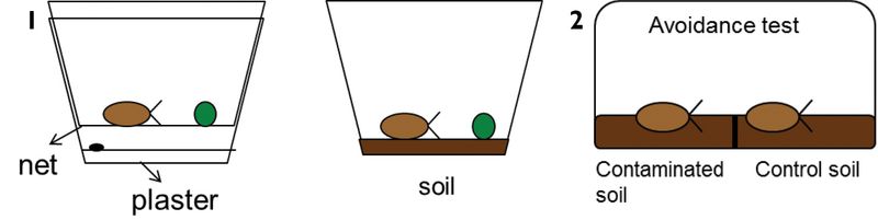 The Laboratory Finding Needs Its Missing Context