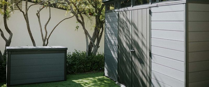 Seal and Clean the Shed Before Relying on Wildlife