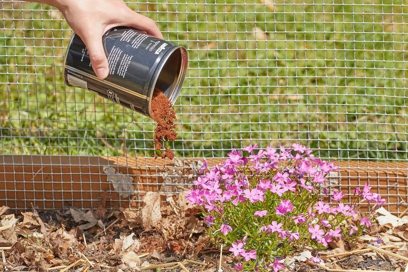 Brewing Up A Barrier With Used Coffee Grounds