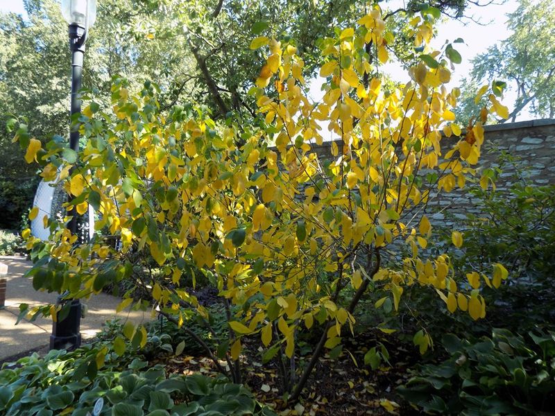 Choose Moist Shade Instead Of A Hot Dry Exposure