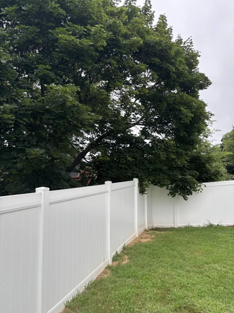 What Overhanging Limbs And Roots Actually Change
