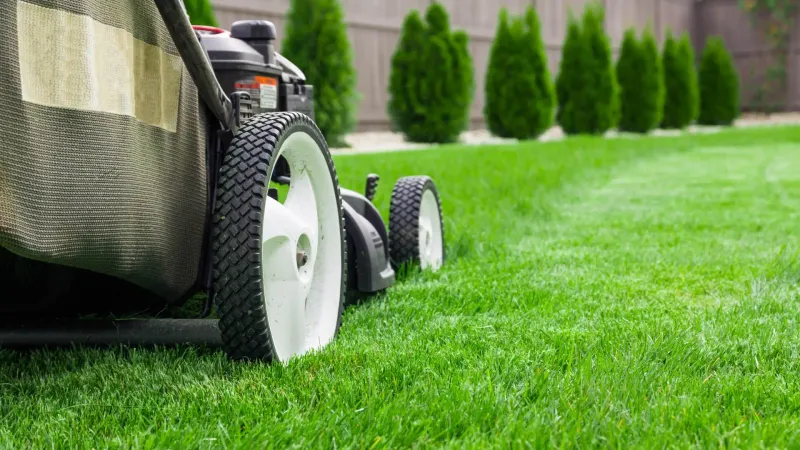 Smart Mowing Steals The Ticks' Hideout
