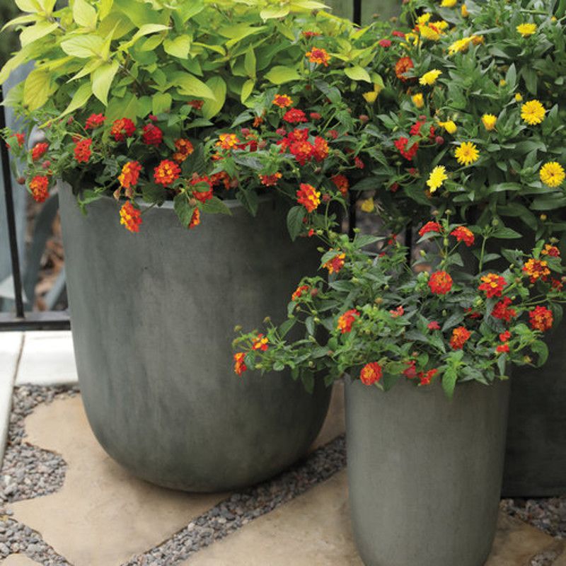 Match the Pot to the Porch