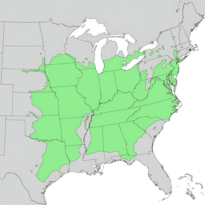 Check Regional Rules And Site Conditions