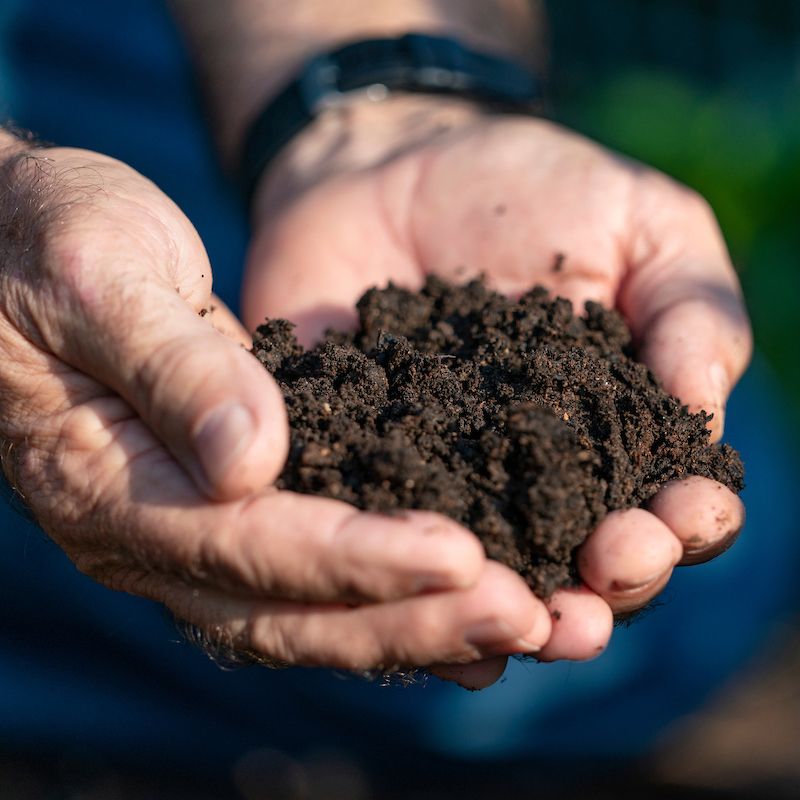 Soil Preparation Matters More Than You Imagine