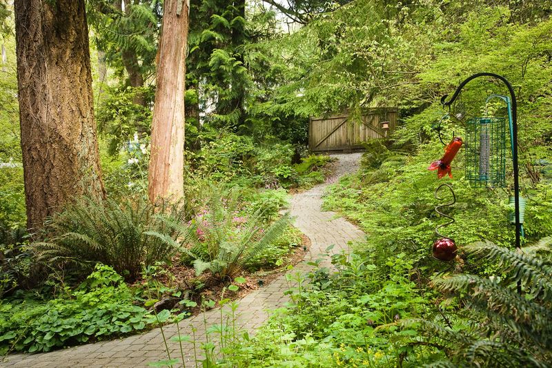 Use Open Space As A Practical Habitat Translation
