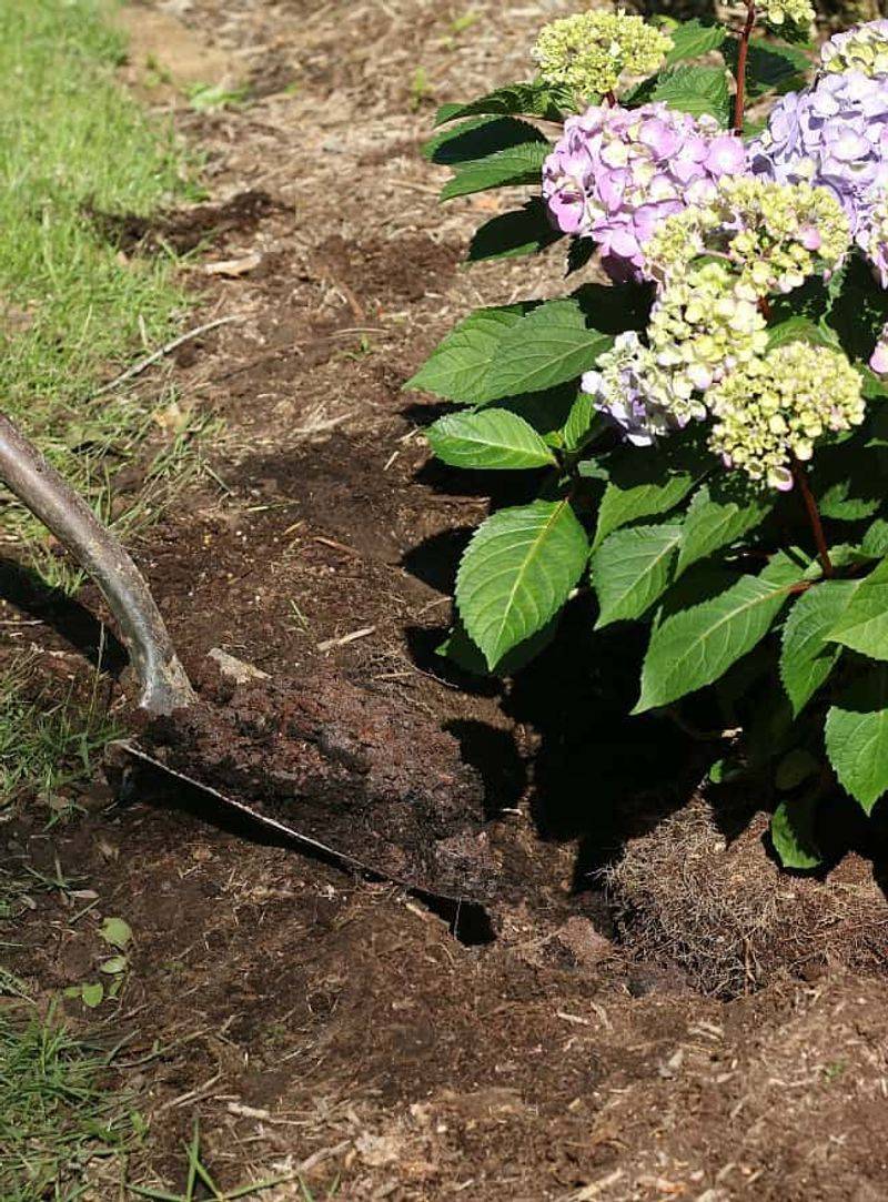 Check Soil Moisture Before Reaching for the Hose