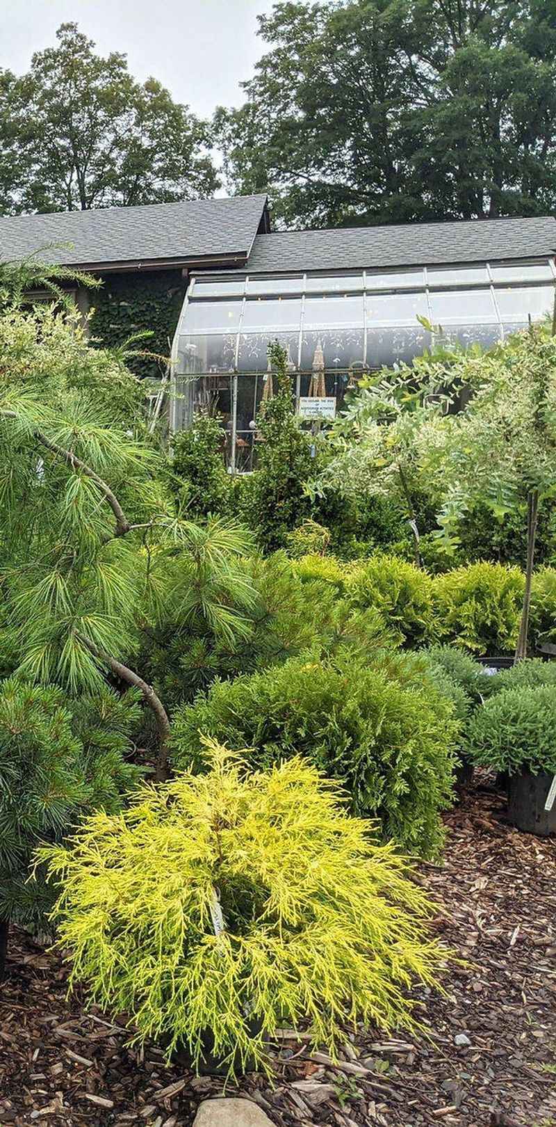 Ross & Ross Nursery, Cresco