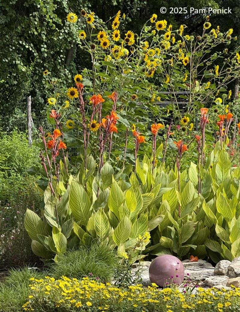The Natural Gardener Grows Austin Organic