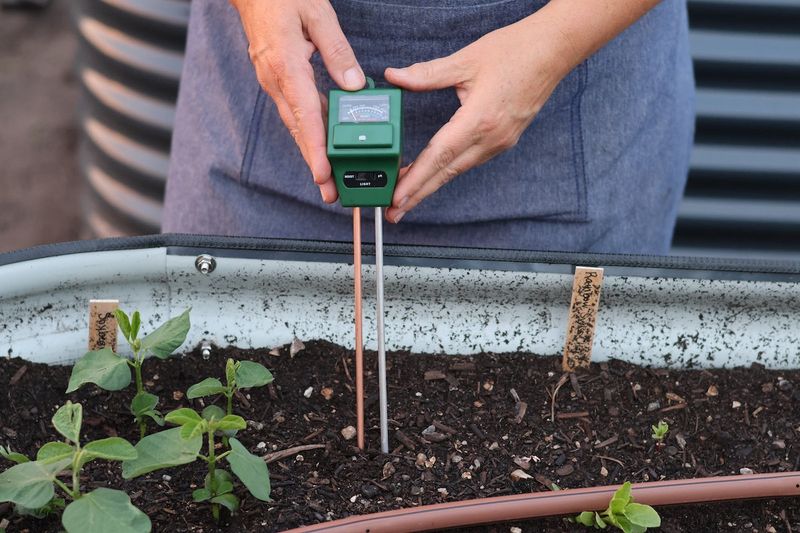 Let the Soil Test Decide