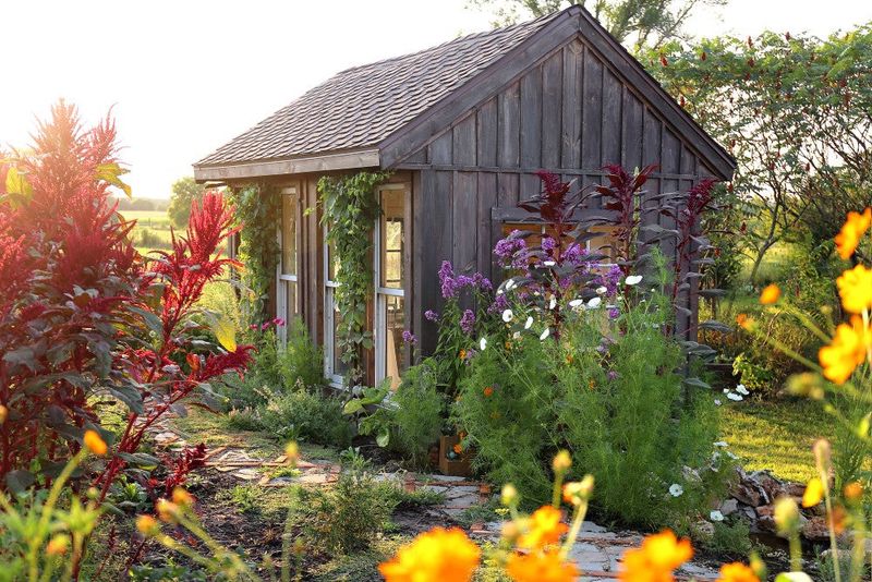 Almanac Planting Co, Knox