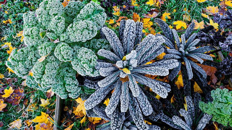 How Much Time Does Your Garden Have?