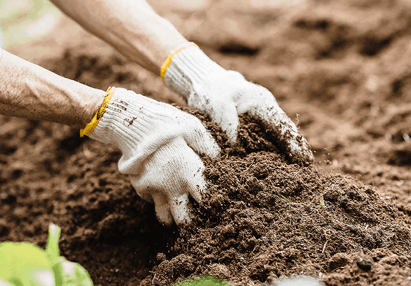 Prepare The Soil With Care For Lasting Success