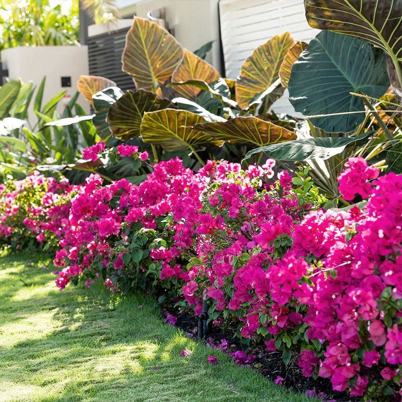 Use Fertilizer Sparingly