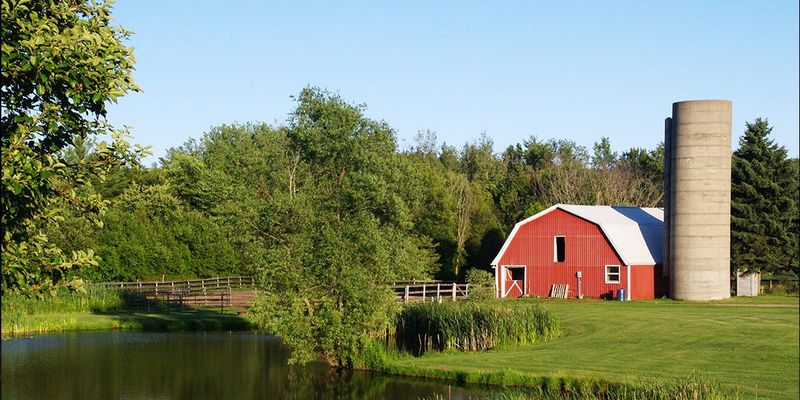 Build The Rat-Control Plan Around The Barn
