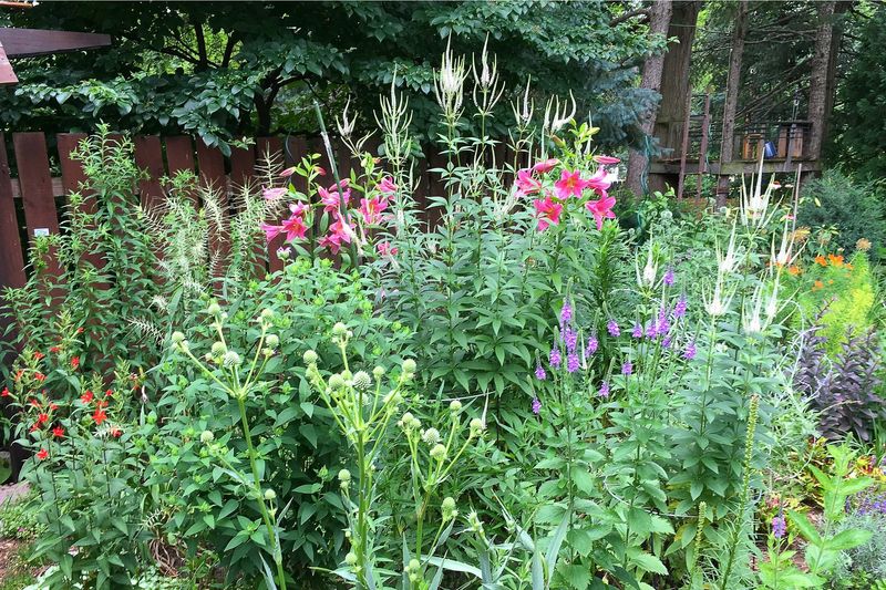 Create Habitat That Supports a Living Food Web