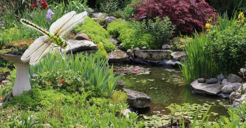 Layering These Plants Makes The Yard Work Harder
