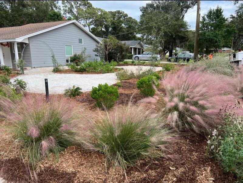 Native Groundcovers Genuinely Cut Your Water Bill