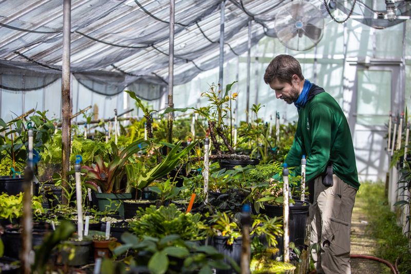 The Institute for Regional Conservation Nursery