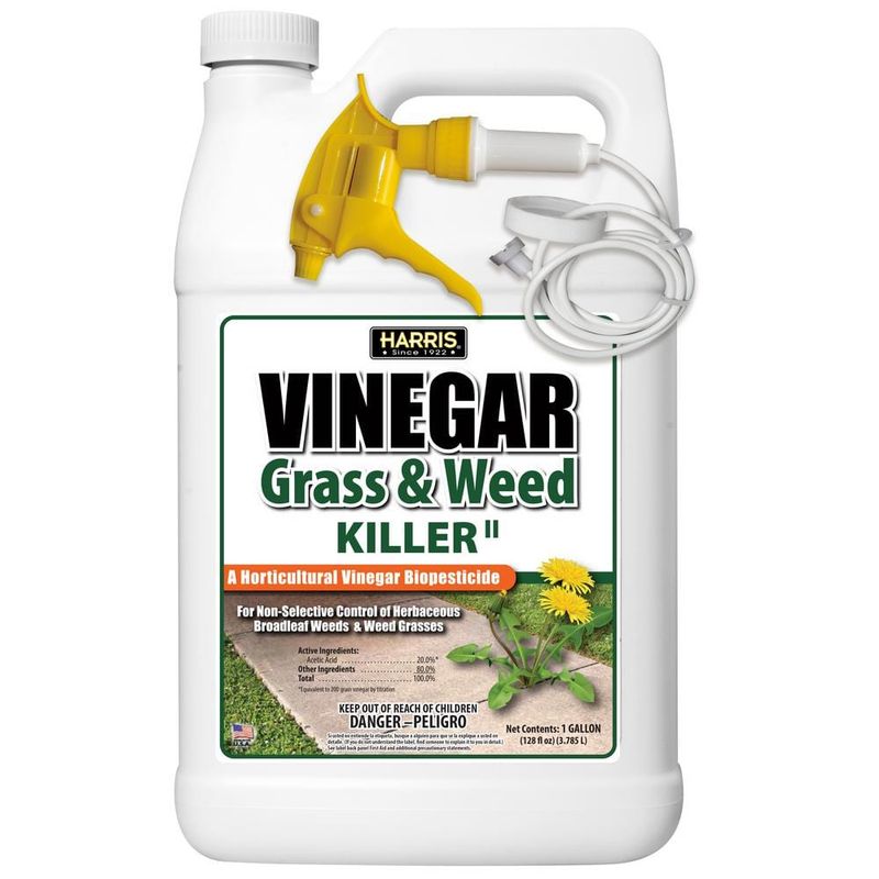 Household Vinegar Is Not Horticultural Vinegar