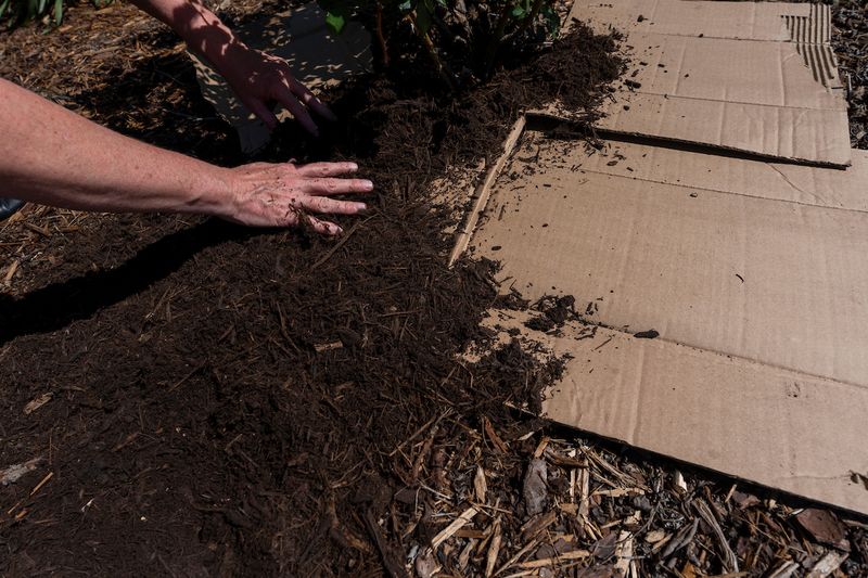 Add The Planting Layer And Respect The Waiting Period