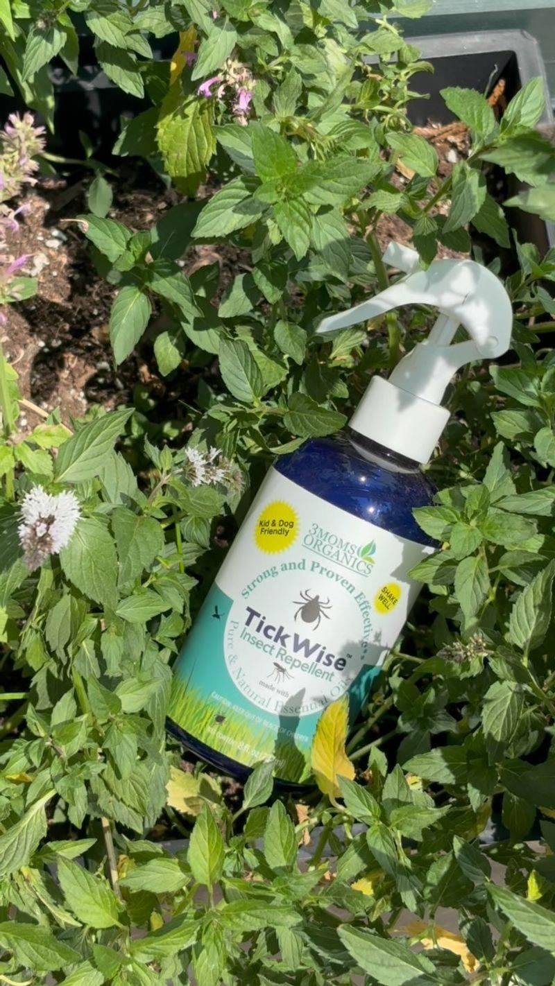 Skip The Unproven Tick Remedies