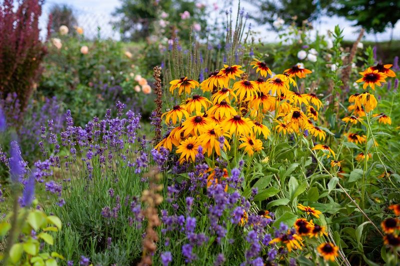 Protect The Patch From Pesticides