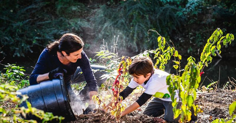 Monitor The Yard Through Every Growing Season