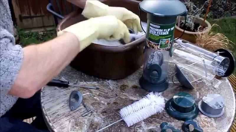 Clean Stations Protect Birds And Neighbors