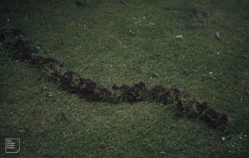Flatten and Repair Minor Mole Disturbance