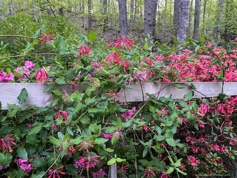 Use a Simple Checklist Before You Plant