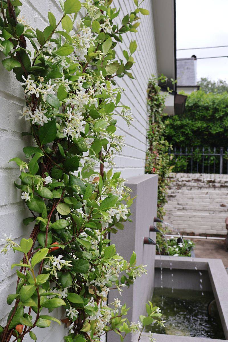 Choose a Site That Delivers Flowers and Fragrance