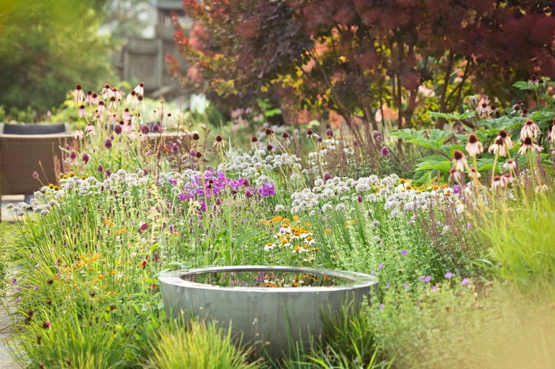Living Things Can Make the Yard Feel Responsive