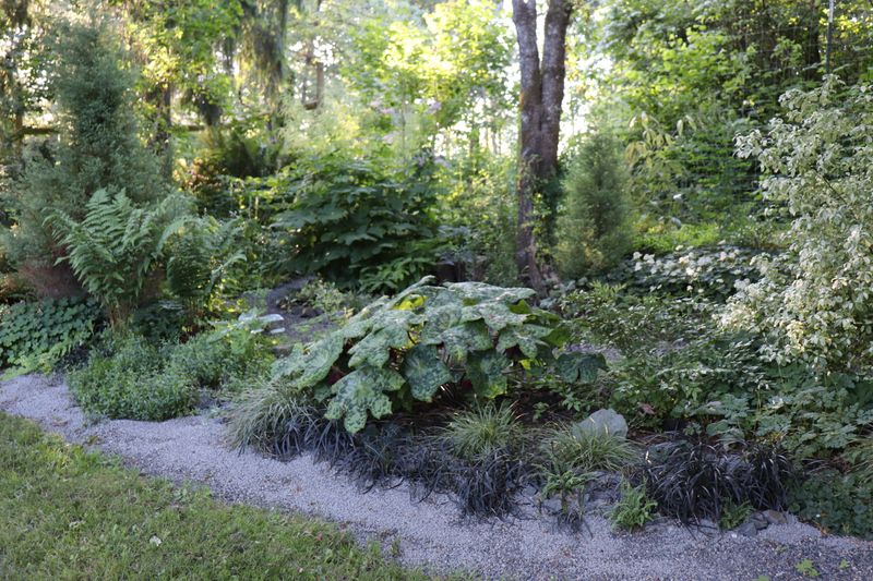Layered Native Plants Are What Actually Holds Them