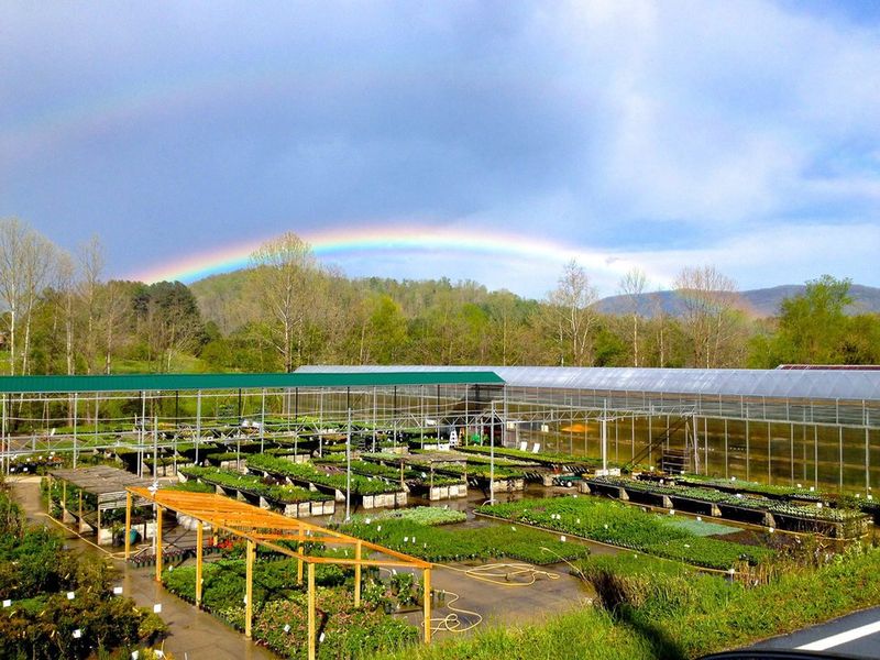 Painters Greenhouse Cultivates Abundance In Old Fort