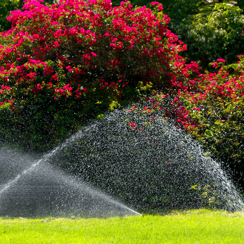 Avoid Constantly Wet Roots Without Creating Drought Stress