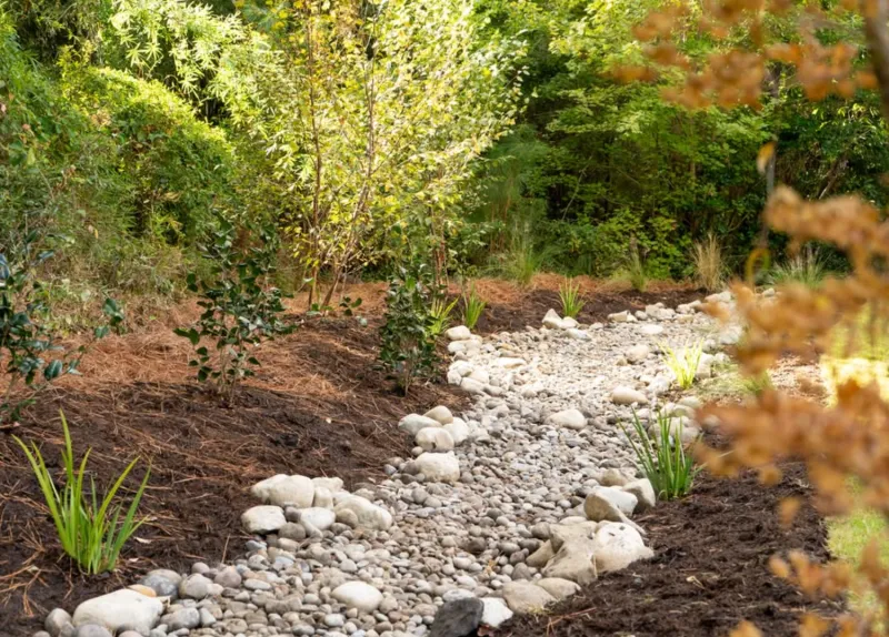 Match The Plant To Moisture And Drainage