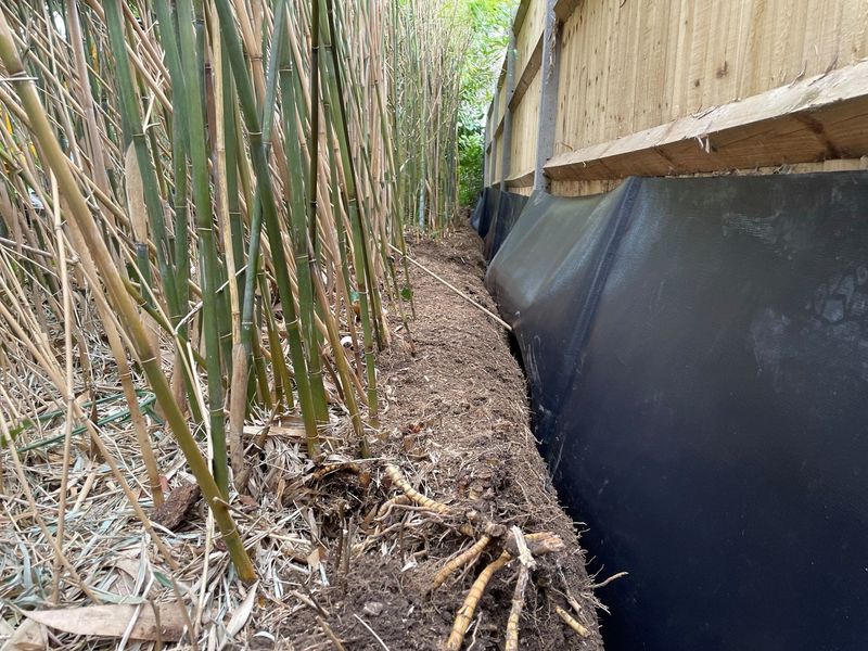 Install A Heavy-Duty Rhizome Barrier First
