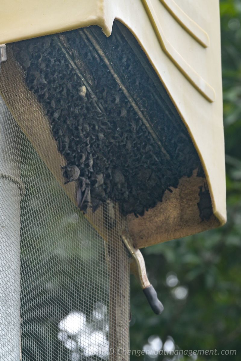 Manage Heat, Ventilation, And Timing