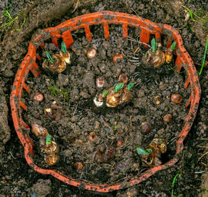 What Else Actually Helps Keep Your Buried Treasures Safe