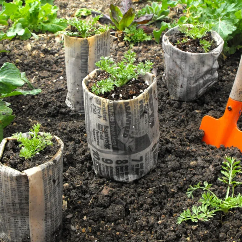 Start Plants Without a Nursery Bill