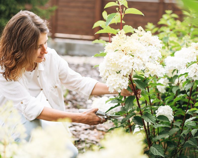 Prune by Species and Cultivar Guidance