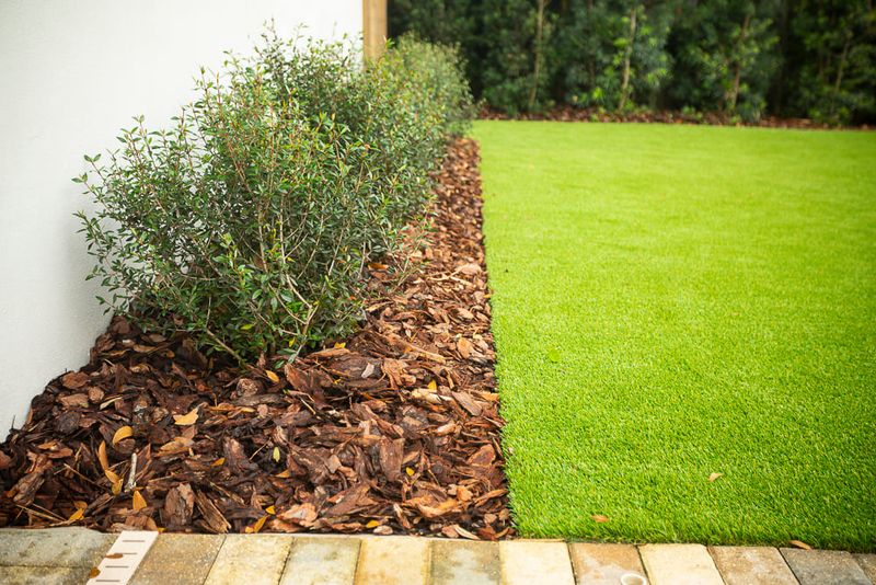 Water During Establishment And Mulch Correctly