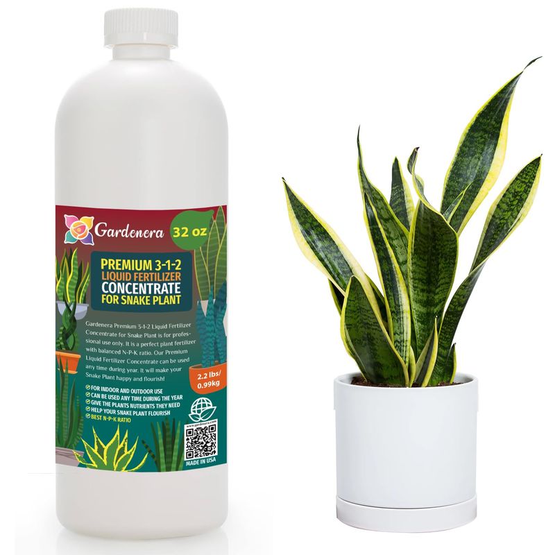 Fertilize Sparingly During Active Growth