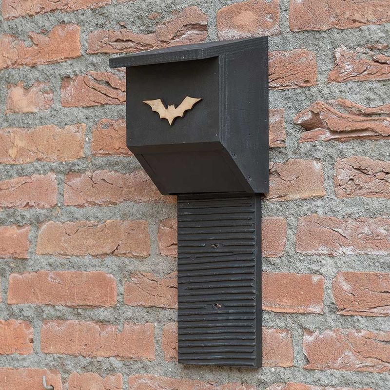 Place the Box for Flight, Water, and North Carolina Heat