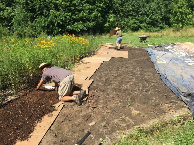Close Bare-Soil Gaps After Removal