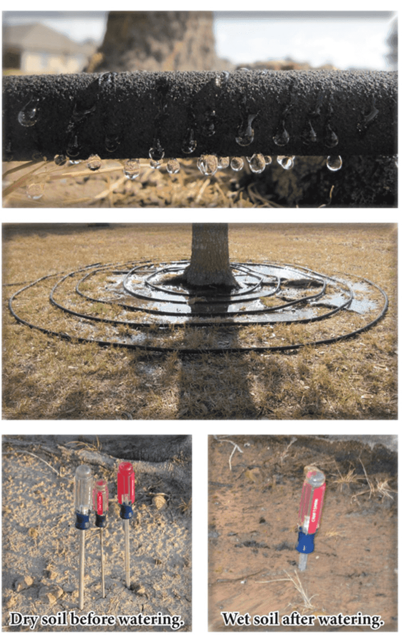The Target Is Moist Root-Zone Soil