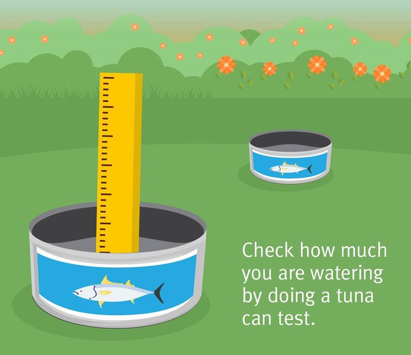 Use Catch Cans to Measure Coverage