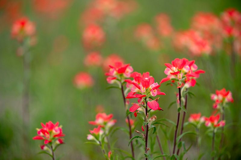 Fall Planting Is The Secret Weapon