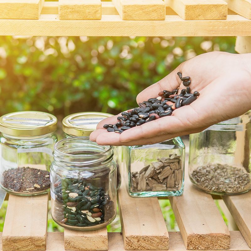 Label And Store A Small Seed Reserve